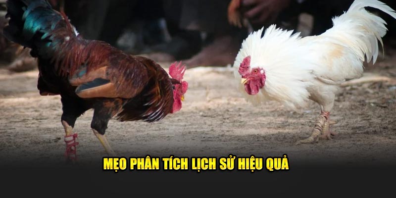 Mẹo phân tích lịch sử hiệu quả 